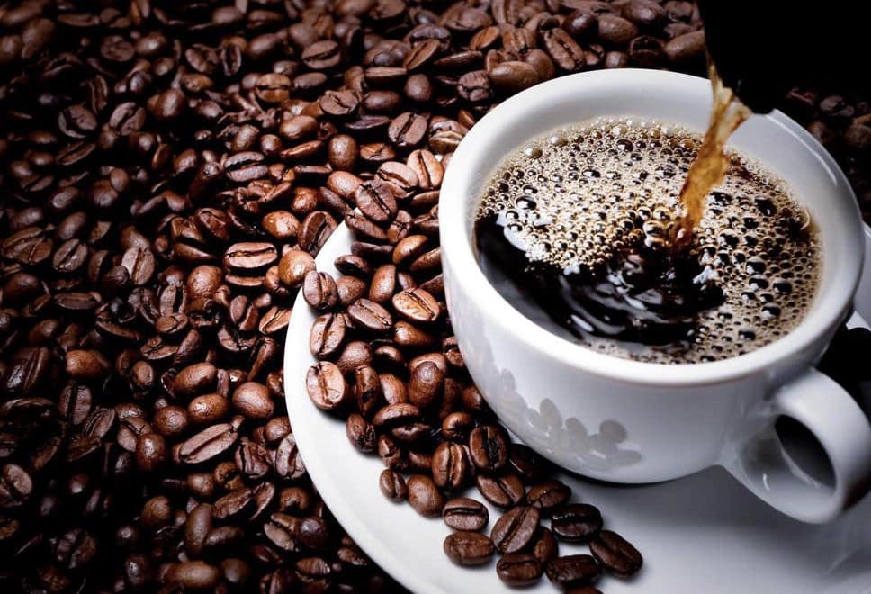 Café ivoirien : de nouvelles variétés robusta pour booster la production nationale